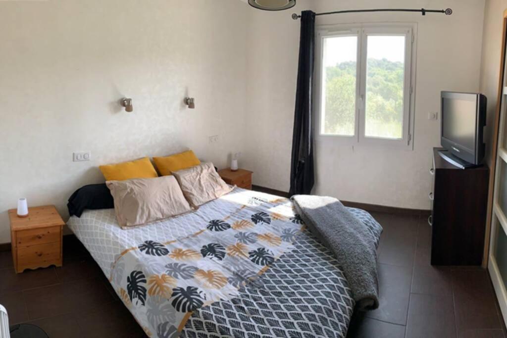 Alairac Maison Spacieuse Et Calme Pres De La Citeヴィラ エクステリア 写真