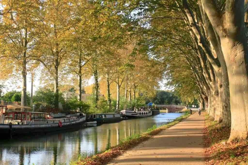 Alairac Maison Spacieuse Et Calme Pres De La Citeヴィラ エクステリア 写真