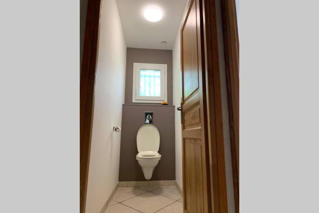 Alairac Maison Spacieuse Et Calme Pres De La Citeヴィラ エクステリア 写真