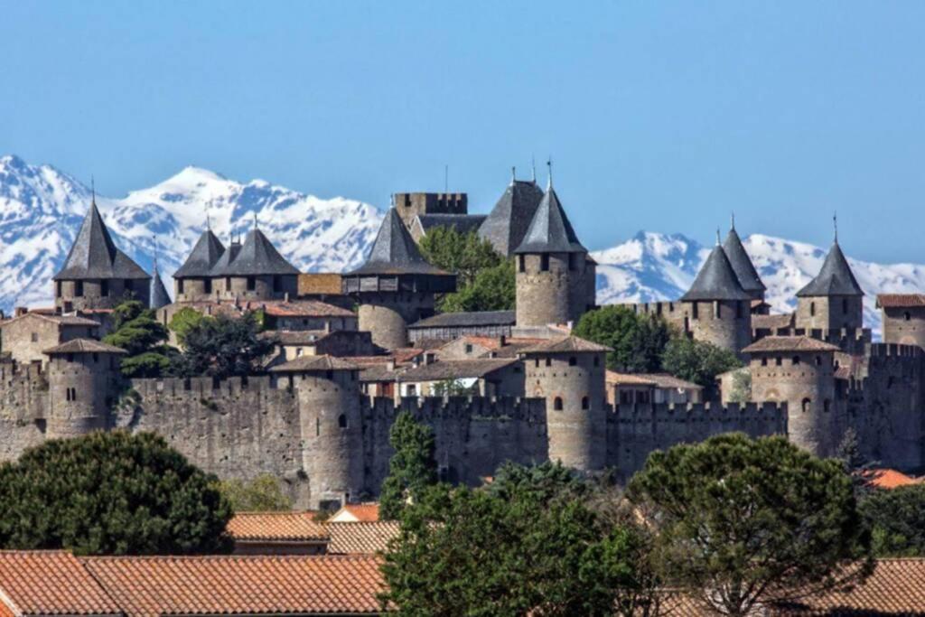 Alairac Maison Spacieuse Et Calme Pres De La Citeヴィラ エクステリア 写真