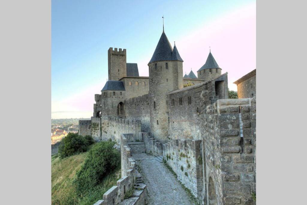 Alairac Maison Spacieuse Et Calme Pres De La Citeヴィラ エクステリア 写真